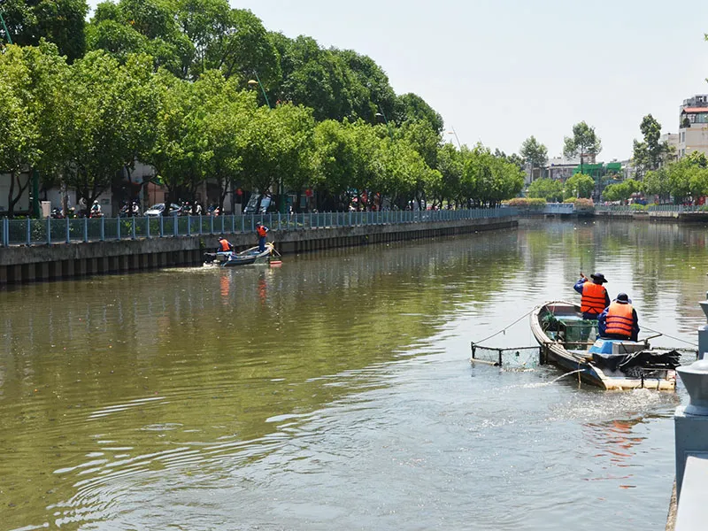 Cá chết la liệt trên kênh Nhiêu Lộc - Thị Nghè ảnh 1