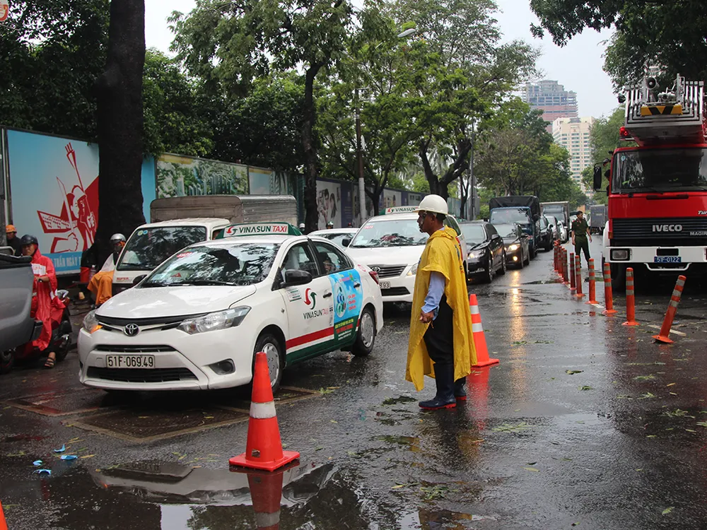 Cây ngà đè xe khiến giao thông ùn ứ.