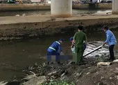 Đi câu cá, phát hiện 1 thi thể trôi trên sông Sài Gòn ảnh 1 Thi thể thanh niên trẻ tuổi trôi trên sông Sài Gòn
