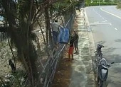Nhóm thanh niên leo rào trộm giữa ban ngày