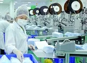 Công an bắt gần 1 triệu khẩu trang không nguồn gốc ở quận 4 ảnh 2 Xuất khẩu hơn 400 triệu chiếc khẩu trang sang Nhật, Mỹ...