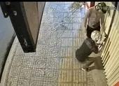 Tái diễn nạn đi trộm chó bằng ô tô ở vùng ven TP.HCM ảnh 3 Kẻ trộm cắt khóa, đột nhập cửa hàng điện thoại ở quận Bình Tân