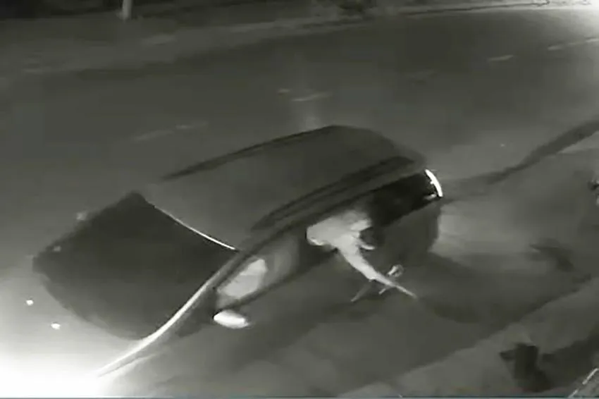 Trước đó, giữa tháng 3, ông NNT (38 tuổi, ngụ huyện Củ Chi, TP.HCM) cũng cho biết vừa bị kẻ gian đi ô tô trộm một con chó. Ảnh chụp từ clip