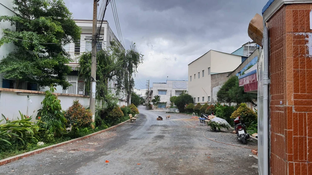 Bé gái 1 tuổi tử vong bất thường ở Bình Tân, nghi bị bạo hành ảnh 1