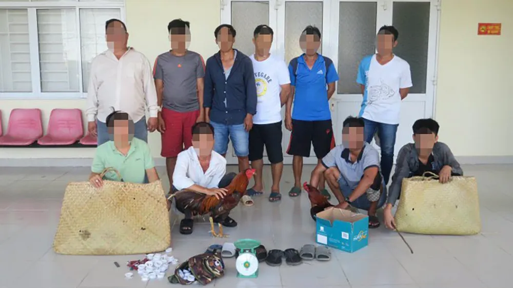 Sới gà được xác định do Long và Mến tổ chức. Ảnh: CA