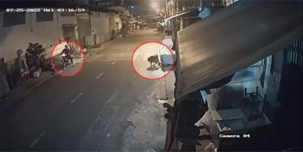 Diễn biến vụ trộm chỉ trong vài giây. Ảnh chụp từ clip