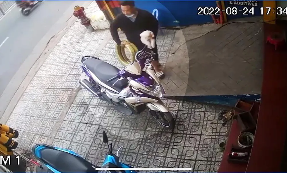 Người này tự nhiên bắt con chó đi. Ảnh chụp từ clip