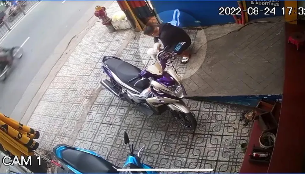 Nam thanh niên tiếp cận, trộm con chó Poodle . Ảnh chụp từ clip