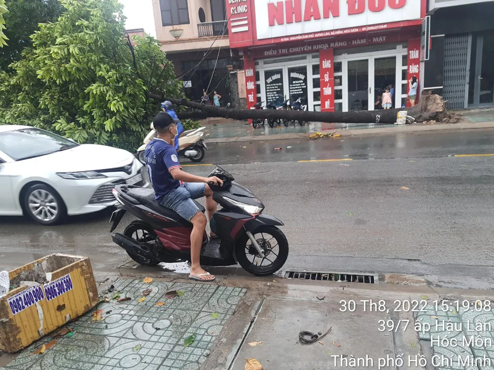 Theo người dân, thời điểm này gió lớn, mưa to. &quot;Tôi ngồi trong nhà thì nghe ầm. Ra thì thấy cây cổ thụ đổ xuống. Gần đó bốn tấm tôn của nhà nào đó bay rớt xuống đường&quot; - một người phụ nữ sống trên đường Nguyễn Ảnh Thủ kể lại. Ảnh: NT