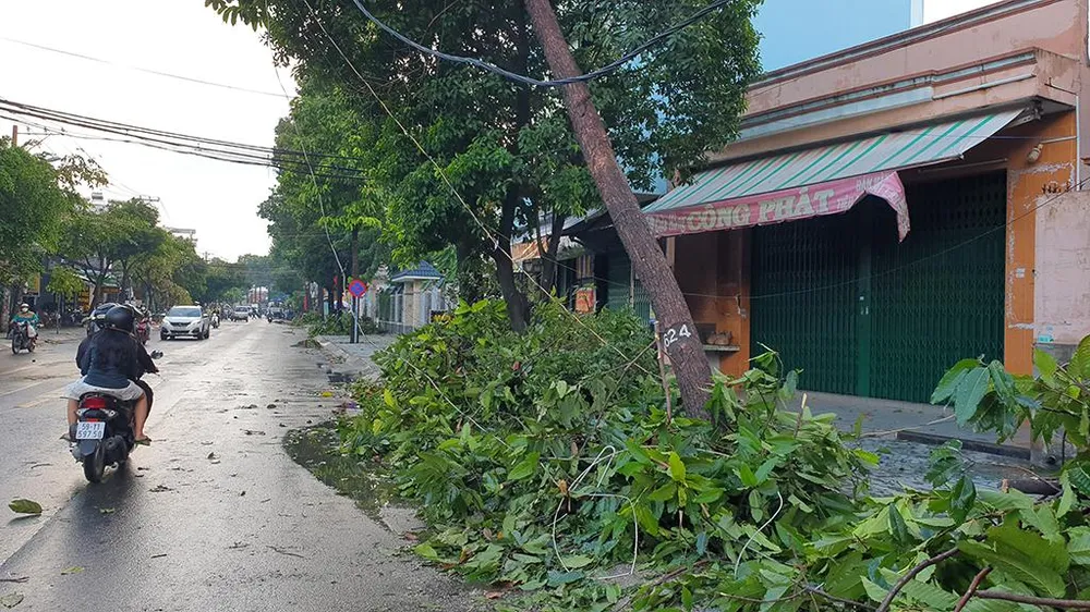 Cây đổ, đè trúng một số dây điện của người dân khiến khu vực bị cắt điện. Ảnh: NT