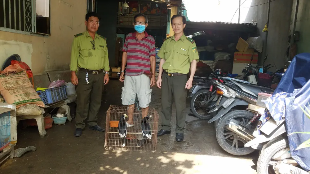 Hai con chim được đưa về trung tâm cứu hộ trước khi thả về tự nhiên. Ảnh: HT Hai con chim được đưa về trung tâm cứu hộ trước khi thả về tự nhiên. Ảnh: HT