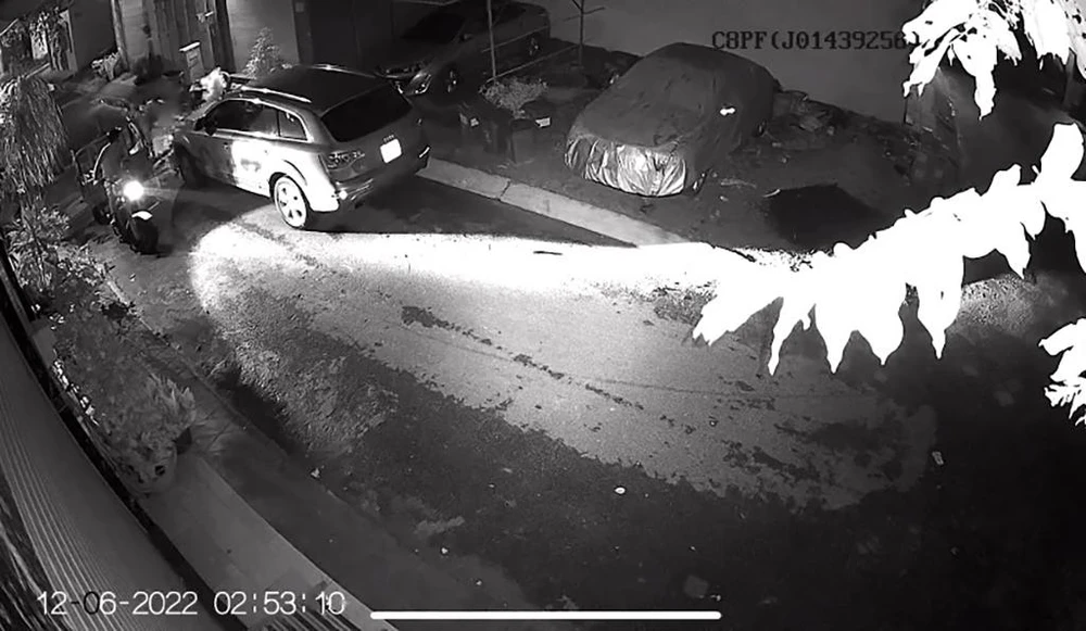 Hai người đàn ông chạy xe ba gác tới trộm cây mai cảnh. Ảnh chụp từ clip