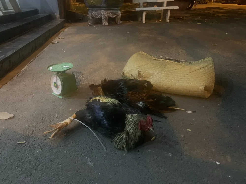 Công an thu giữ nhiều tang vật liên quan. Ảnh: HT Công an thu giữ nhiều tang vật liên quan. Ảnh: HT