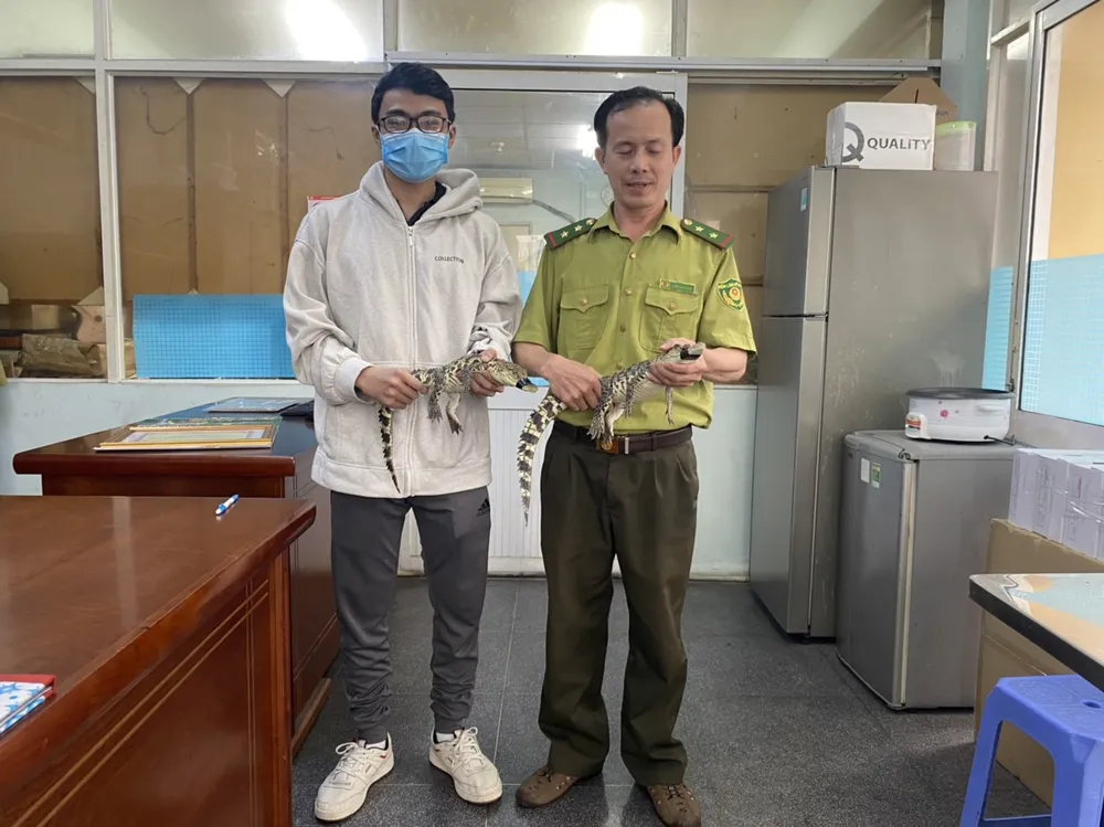 sinh-vien-ban-giao-2-con-ca-sau-cho-kiem-lam