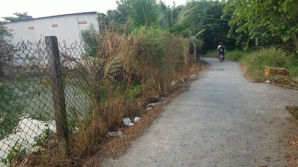 2-be-gai-mat-tich-o-binh-chanh