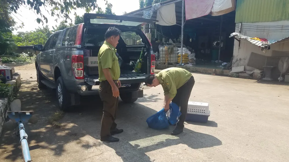 Lực lượng kiểm lâm tiếp nhận con trăn đất và khỉ đuôi dài từ người dân bàn giao. Ảnh: HT