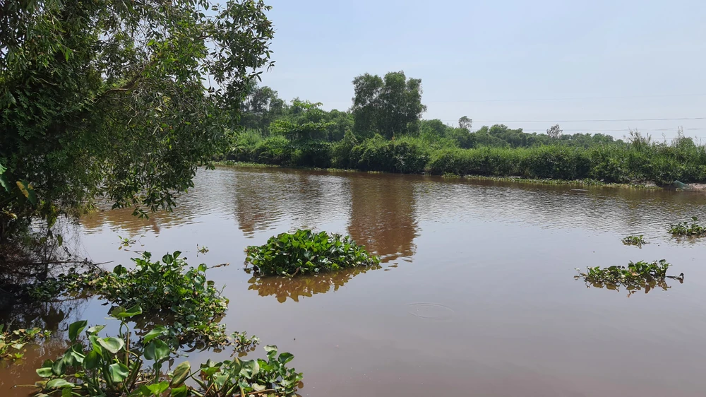 Khu vực xảy ra vụ việc. Ảnh: HT