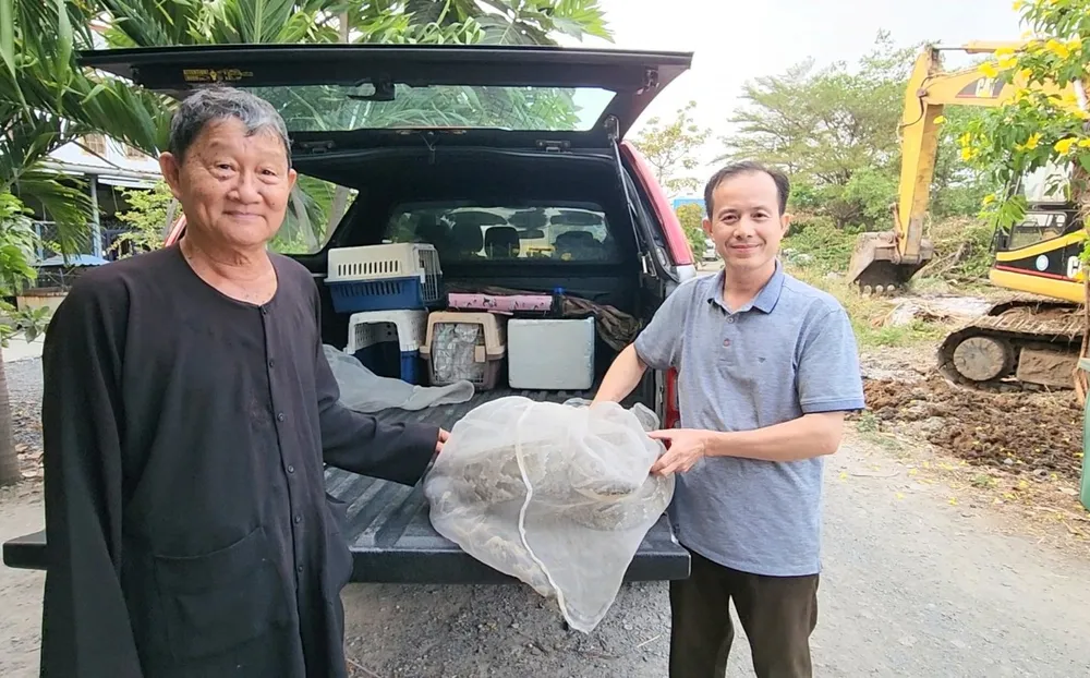 Người dân sau đó bàn giao con trăn cho lực lượng kiểm lâm. Ảnh: HT