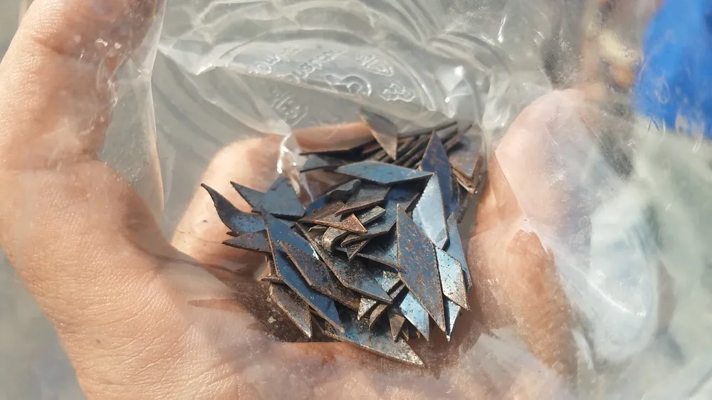 Trong khoảng 30 phút, các nhân viên công ty đã thu gom được hơn 400 mảnh đinh. Ảnh: HT