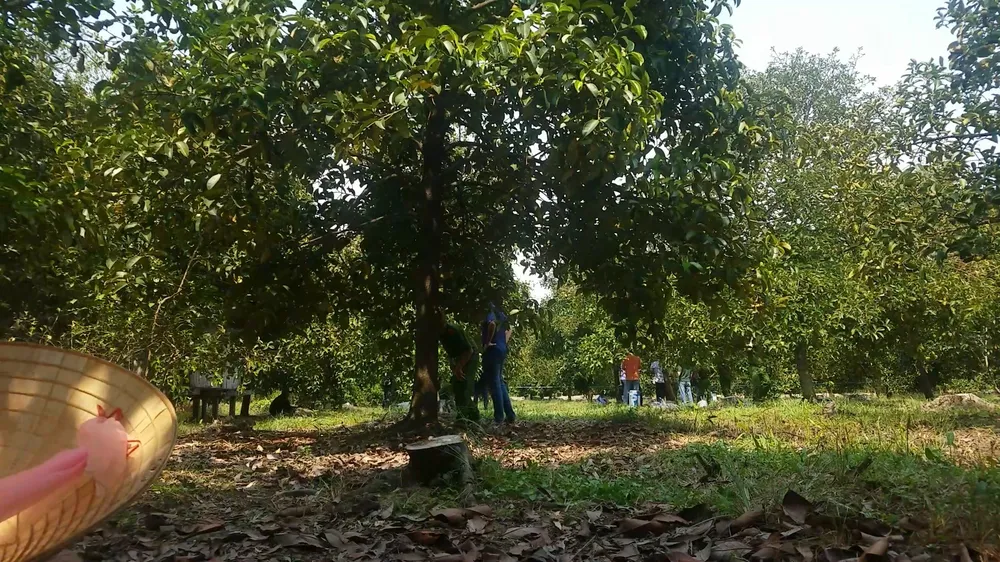 Công an phong tỏa, khám nghiệm hiện trường để điều tra