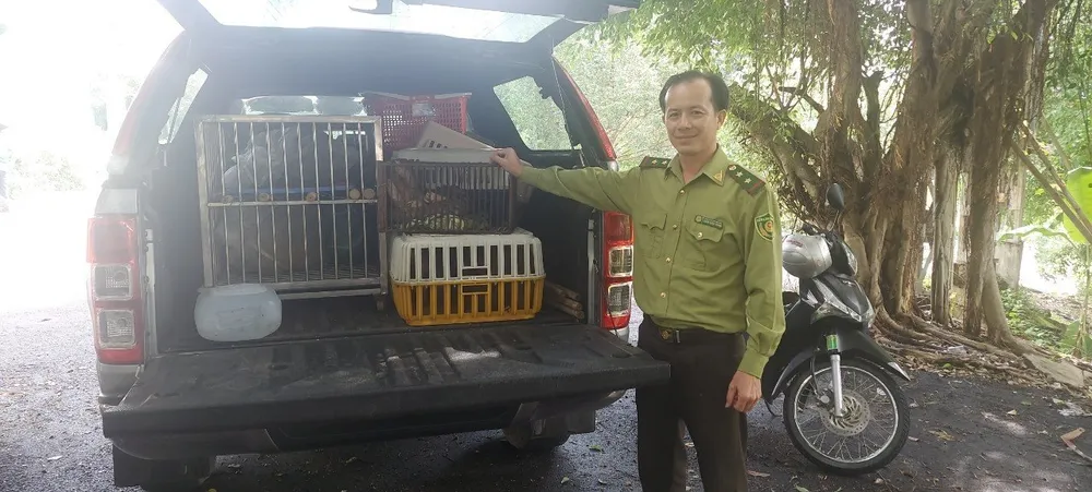 28 cá thể động vật hoang dã được thả về tự nhiên sau khi được Chi cục Kiểm lâm TP.HCM cứu hộ, chăm sóc. Ảnh: HT