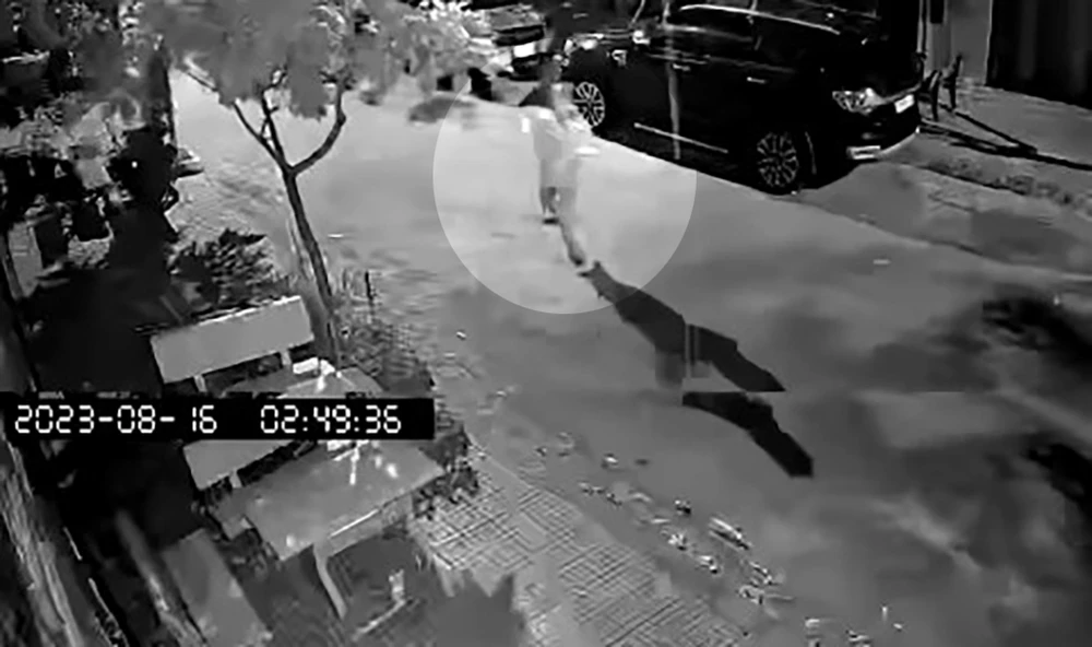 Người đàn ông ném sơn vào nhà anh T được camera an ninh ghi lại. Ản: Cắt từ clip