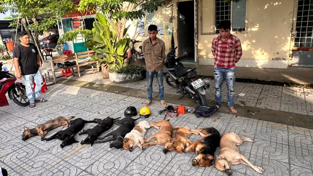 Công an huyện Củ Chi bắt được hai nghi can trộm chó trên địa bàn. Ảnh: CA