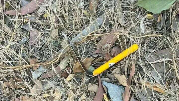 Người phụ nữ nghi bị chồng đâm gục trên đường ở Bình Chánh