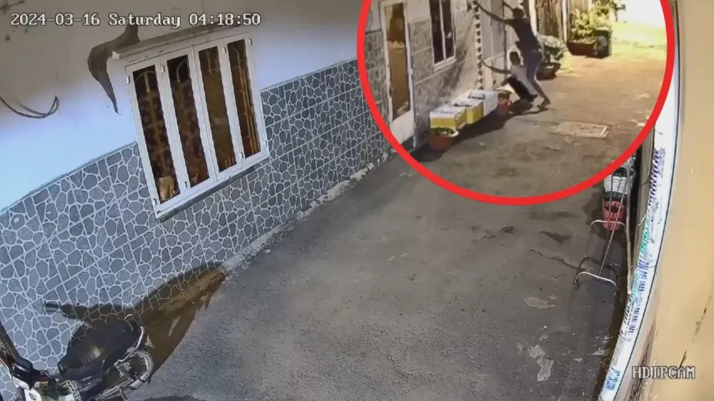 Nhóm trộm ‘đồng hương’ 1 tháng trộm 7 vụ ở Gò Vấp