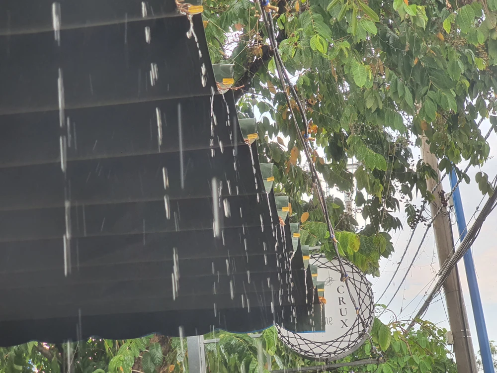 Mưa vàng rơi xuống TP.HCM nhiều người mừng 'quá đã'