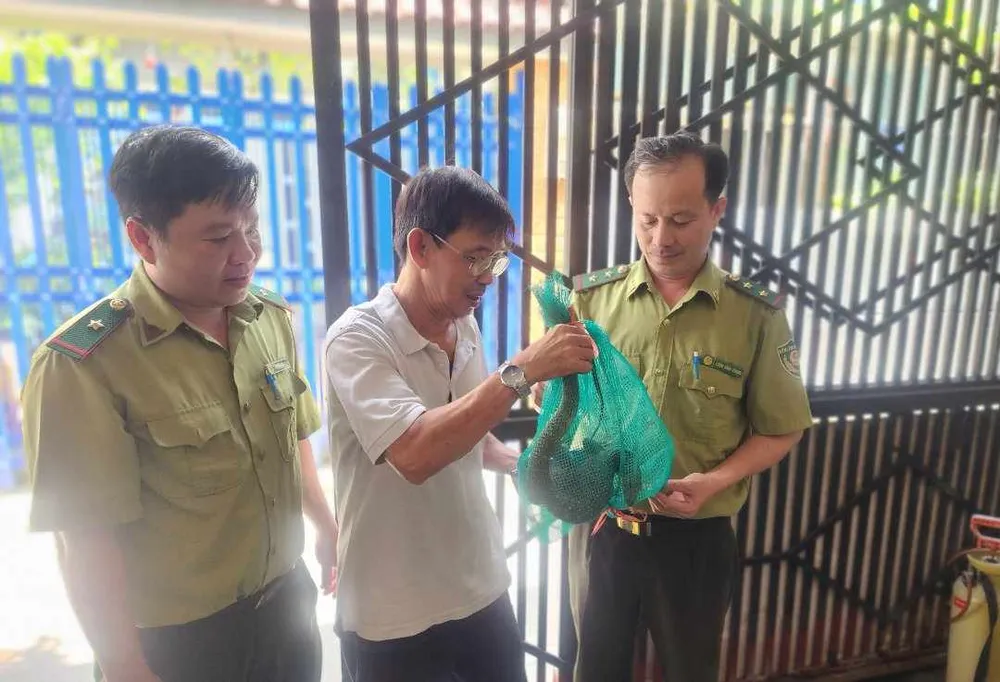 Nghe chó sủa lúc 12 giờ đêm, người đàn ông ở Gò Vấp bắt được con vật quý