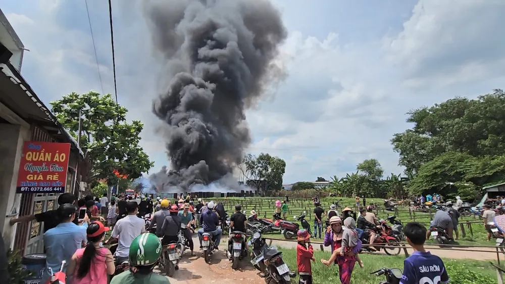 Vụ cháy lan rộng khiến người dân khu vực gặp một phen náo loạn. Ảnh: NT Công an nghi vấn có người đốt cỏ gây cháy bãi pallet hàng ngàn mét ở Bình Chánh