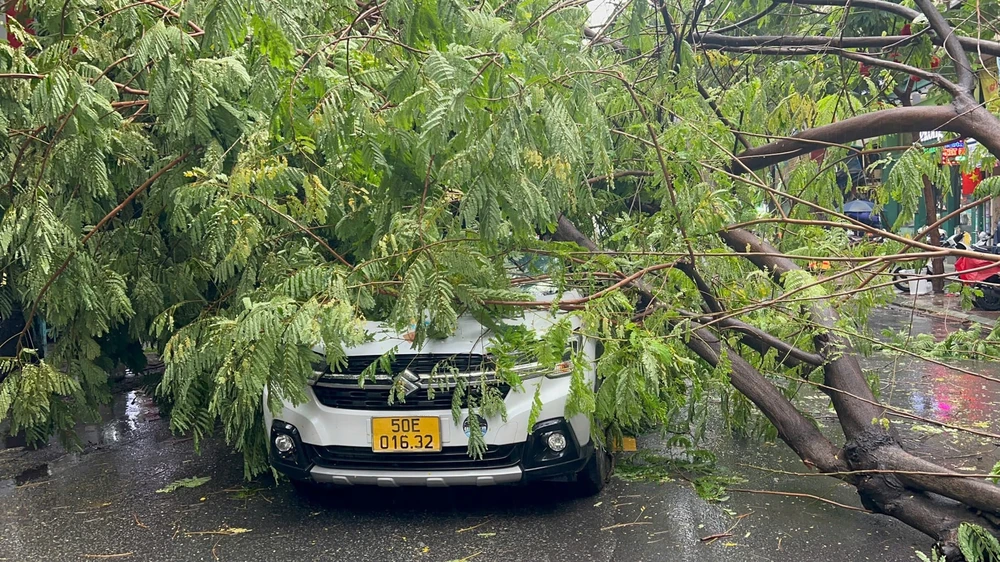 Mưa to gió lớn, hàng loạt cây bật gốc, gãy đổ đè người đi đường
