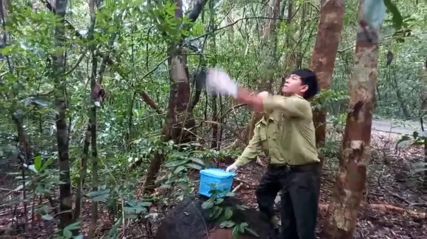 Kiểm lâm TP.HCM phối hợp thả 25 động vật hoang dã về Vườn quốc gia Cát Tiên (tỉnh Đồng Nai). Ảnh: HT Con chim quý bay vào trường học ở Quận 4 và 24 động vật được thả về tự nhiên