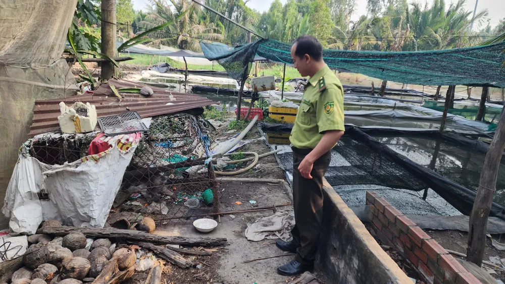 thuong-con-khi-bi-cut-duoi-nguoi-dan-ong-o-binh-chanh-giao-kiem-lam (3).jpg