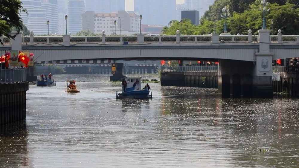 Cá chết đầy kênh đẹp nhất TP.HCM, người dân bịt mũi khi qua lại