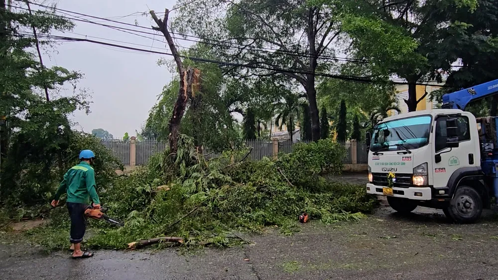 Cây xanh gãy ngang, đè trúng dây điện trước cổng trường tiểu học ở Hóc Môn