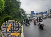 Nghi cãi nhau với cô gái, thanh niên nhảy cầu Kinh Thanh Đa ảnh 2 Người phụ nữ gieo mình xuống kênh Bến Nghé từ cầu Calmette