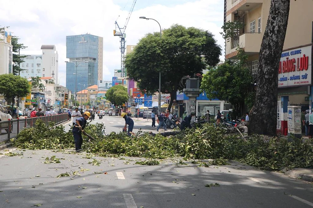 Lực lượng chức năng khắc phục hiện trường vụ nhánh cây rơi xuống đường. Ảnh: ĐC