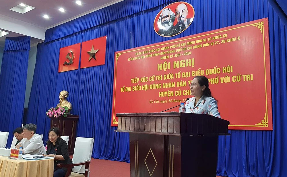 Bà Nguyễn Thị Lệ phát biểu tại buổi tiếp xúc. Ảnh: NY