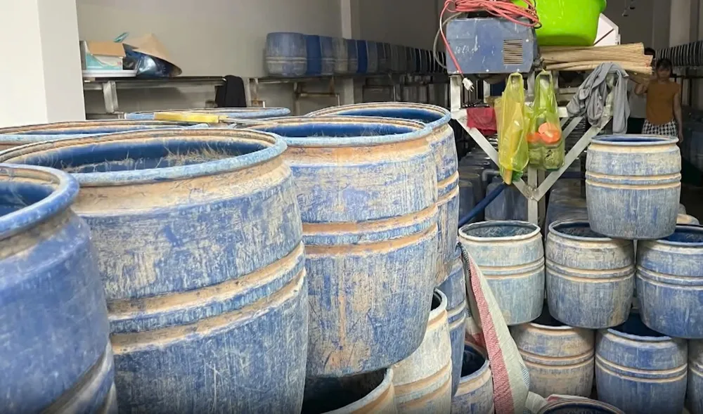 Một trong hai cơ sở sản xuất giá đỗ ủ chất kích thích. Ảnh: ĐC khoi-to-2-chu-co-so-san-xuat-gia-do-u-chat-kich-thich-tang-truong-1.jpg