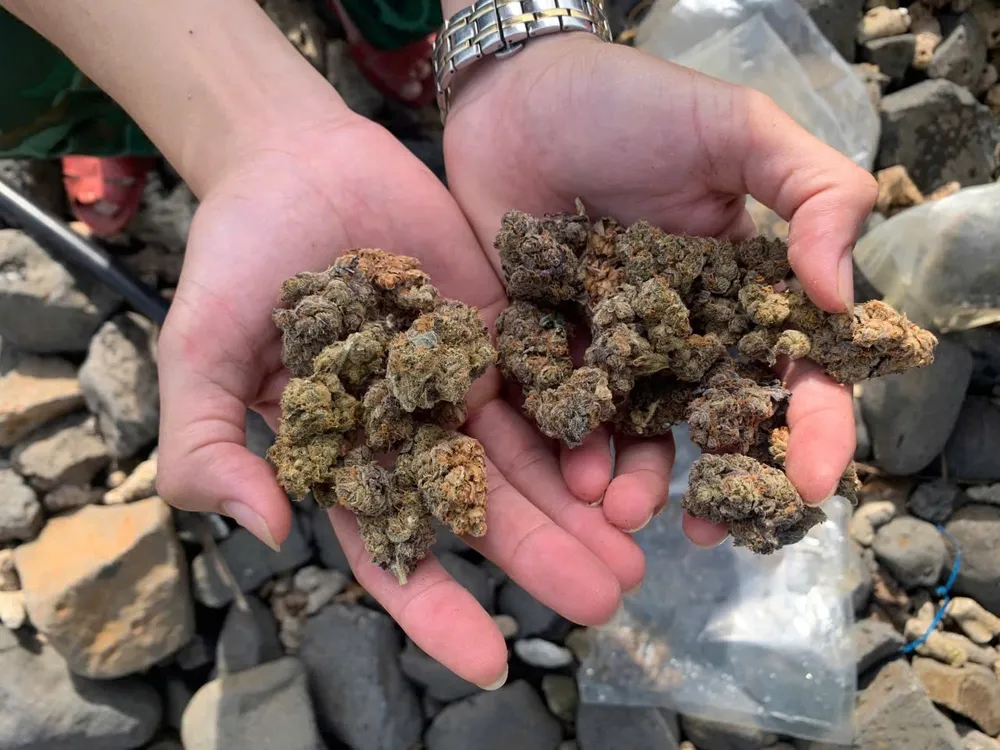 phát hiện 17 túi nilon chứa ma túy dạt vào bờ biển Quảng Ngãi