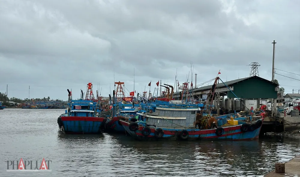 Quảng Ngãi: ‘Lãng quên’ hệ thống xử lý nước thải ở các cảng cá