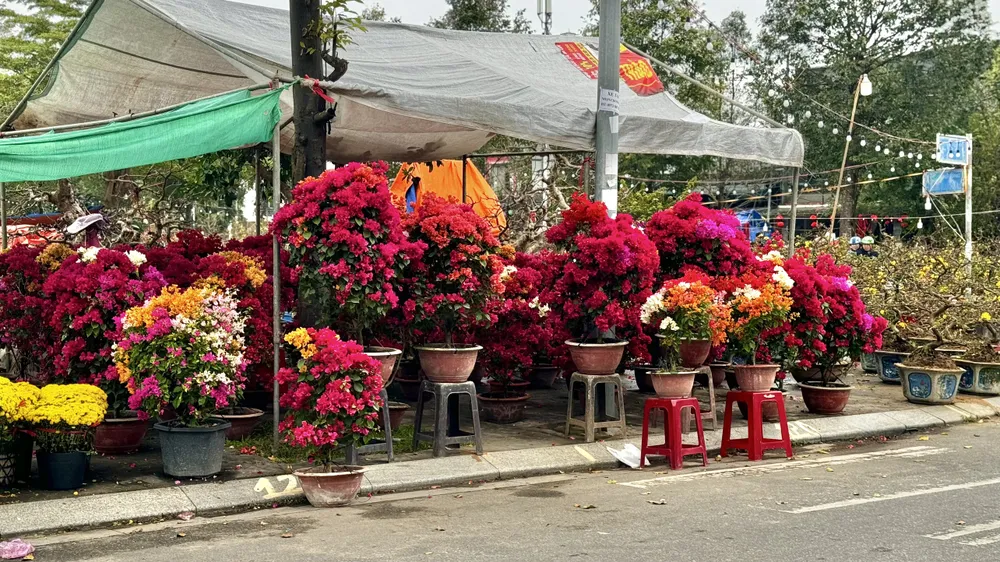 cho-hoa-tet-quang-ngai-e-am-chua-tung-co (1).jpg