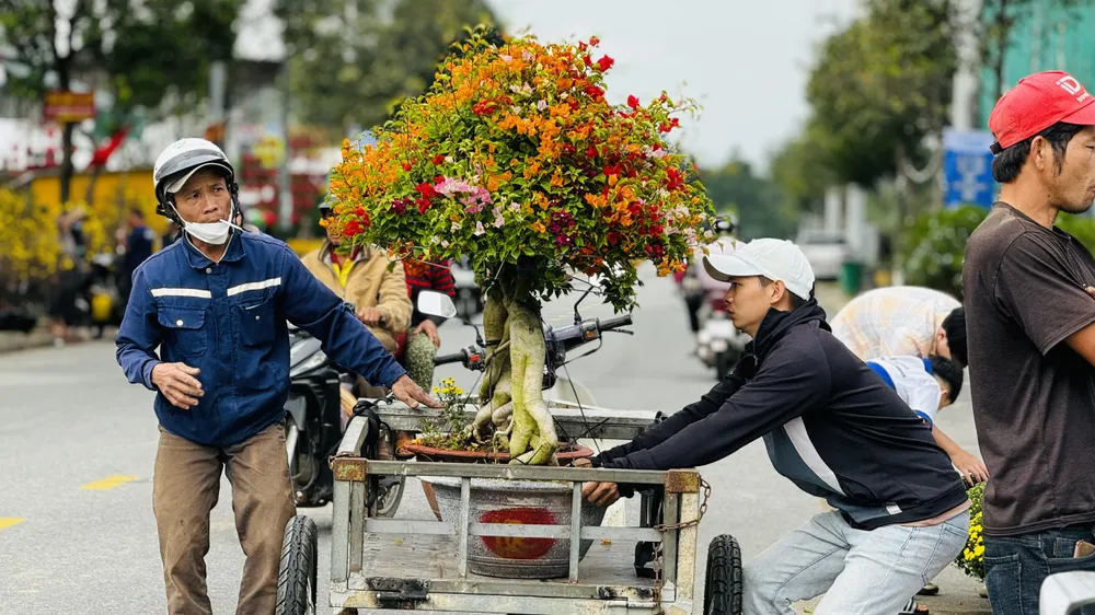 cho-hoa-tet-quang-ngai-e-am-chua-tung-co (19).jpg