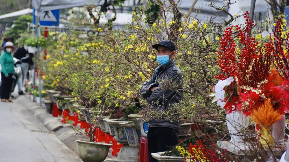 cho-hoa-tet-quang-ngai-e-am-chua-tung-co (2).jpg