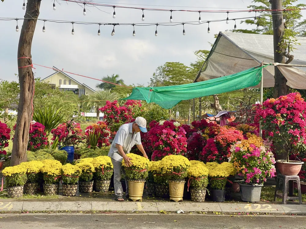 cho-hoa-tet-quang-ngai-e-am-chua-tung-co (6).jpg