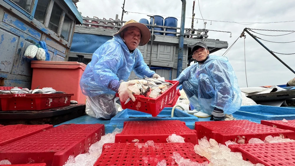 ngu-dan-quang-ngai-boi-thu-chuyen-bien-ngay-giap-tet (4).jpg