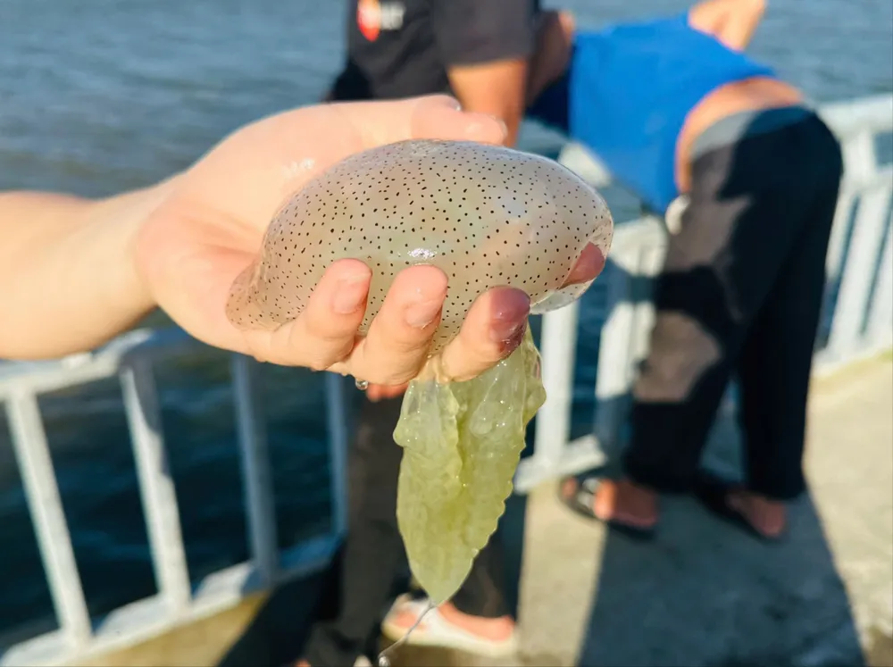 vot-sua-tren-song-truong-giang- (13).jpg