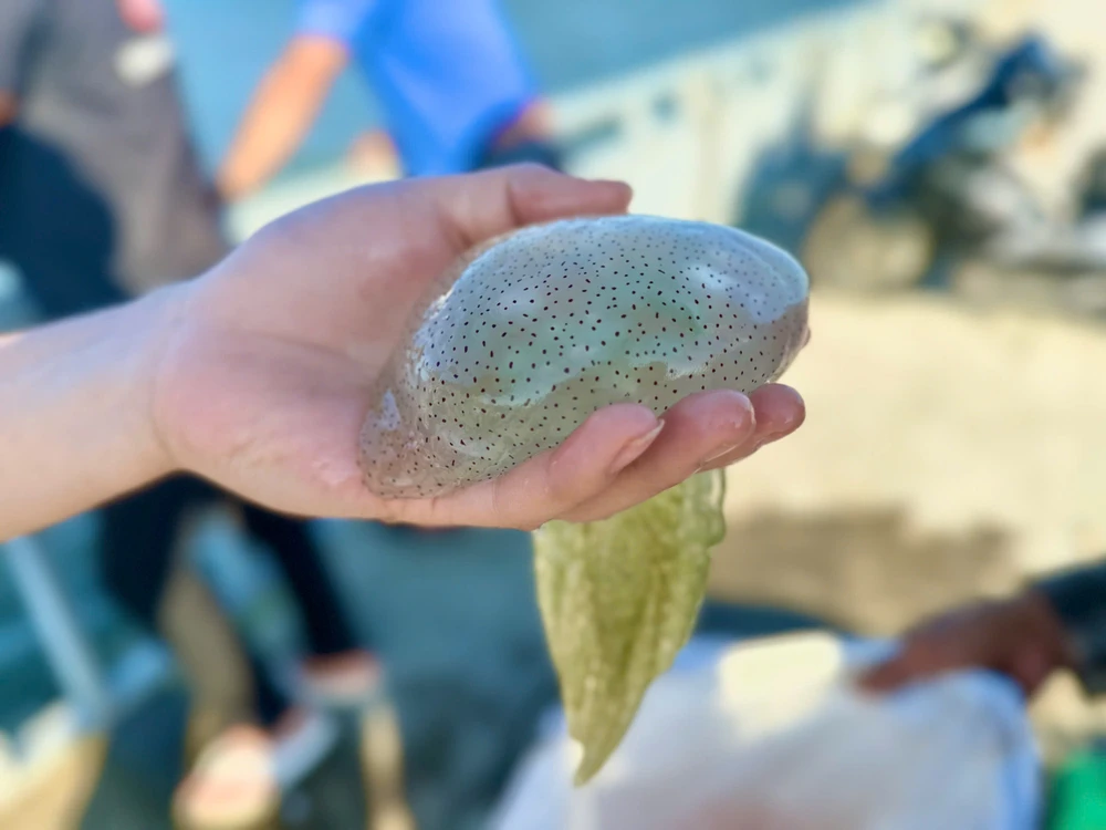 vot-sua-tren-song-truong-giang- (8).jpg